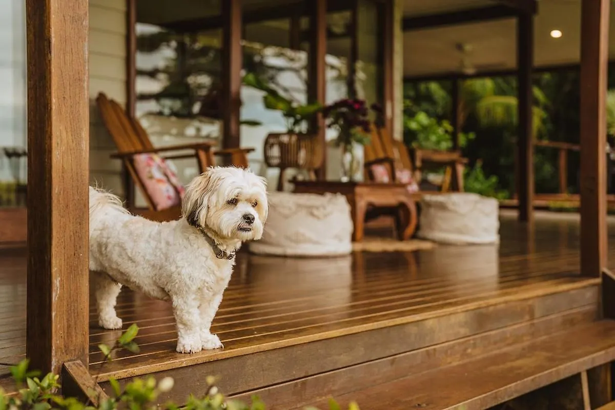 Port Douglas Alamanda Estate W Ocean Views & Pool Craiglie